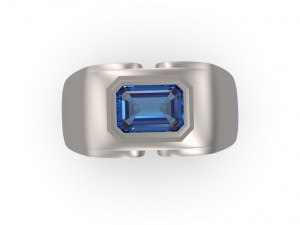 man signet ring 10 3D 프린트 모델