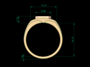 man signet ring 10 3D 프린트 모델