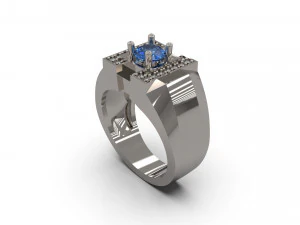 남자 인장반지 12 3D 프린트 모델