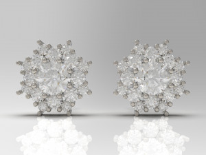 earring 16 3D Print Model