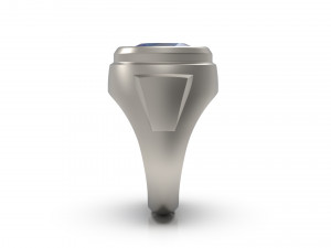 man signet ring 14 3D 프린트 모델