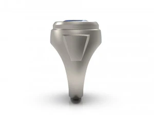 man signet ring 14 3D Print Model