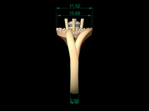 woman solitaire ring 78 3D Print Model