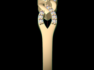 woman band ring 112 Model do druku 3D