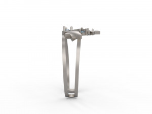star ring 3D Print Model