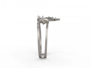 star ring 3D Print Model