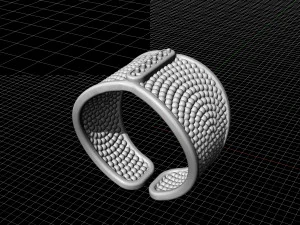 ring with balls 3D Print Model