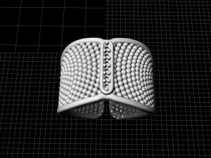 ring with balls Modelo de Impressão 3D