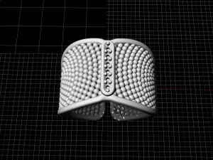 ring with balls 3D Print Model