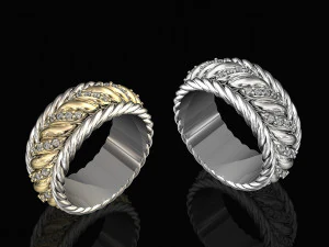 ring of ropes 3D Print Model
