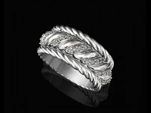 ring of ropes 3D Print Model