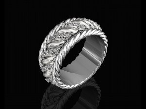 ring of ropes Modèles 3D en vedette