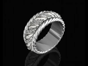 ring of ropes 3D Print Model