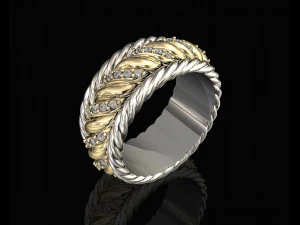 ring of ropes 3D Print Model
