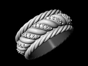 ring of ropes 3D Print Model