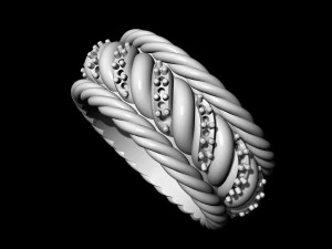 ring of ropes 3D Print Model