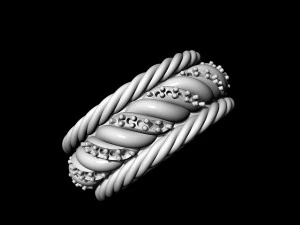 ring of ropes 3D Print Model