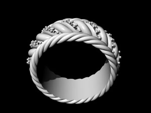 ring of ropes 3D Print Model