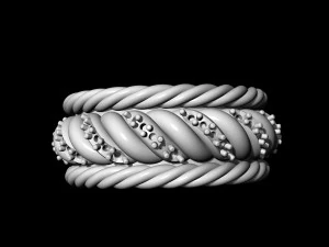 ring of ropes 3D Print Model