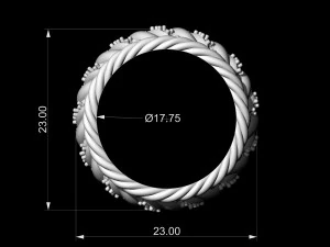 ring of ropes 3D Print Model