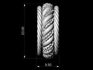 ring of ropes 3D Print Model