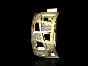 earrings with blanks 3D Print Model