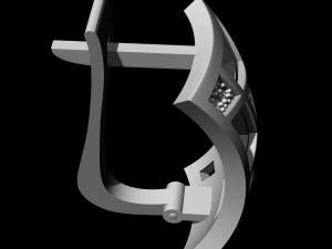 earrings with blanks 3D Print Model