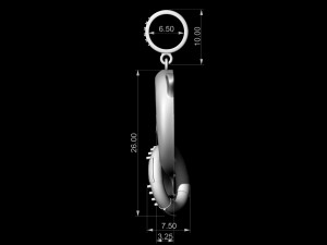 dolphin with lifebuoy pendant 3D 프린트 모델