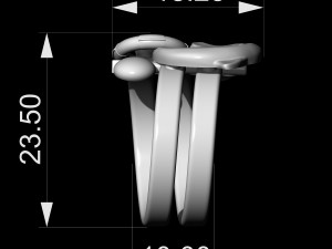 dolphin friendship ring 3D 打印模型