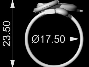 dolphin friendship ring 3D 打印模型