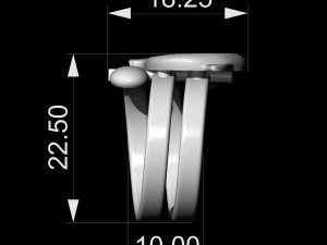 dolphin friendship ring 3D 打印模型