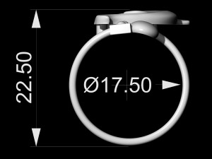 dolphin friendship ring 3D 打印模型