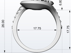 twisted ring 3D-Druckmodell