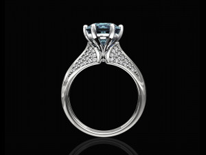 central stone ring 3D-printmodel
