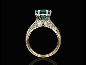 central stone ring 3D-printmodel