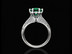 central stone ring 3D-printmodel