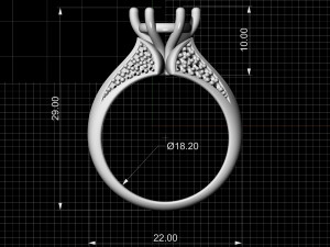 central stone ring 3D-printmodel