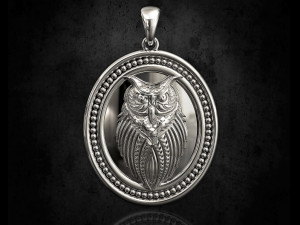 rough owl pendant 3D 打印模型