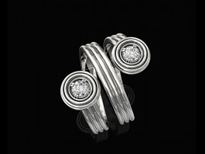 twist ring 3D-Druckmodell