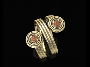 twist ring Modello di stampa 3D