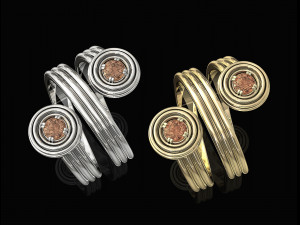 twist ring Modello di stampa 3D