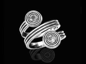twist ring Modello di stampa 3D
