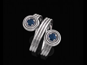 twist ring Modello di stampa 3D