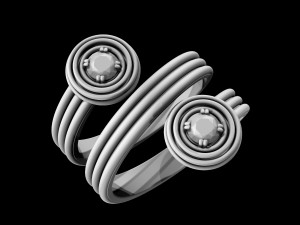 twist ring Modello di stampa 3D