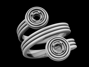 twist ring Modello di stampa 3D
