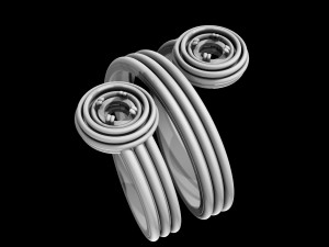 twist ring Modello di stampa 3D