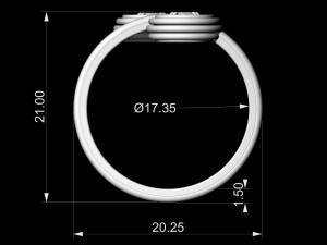 twist ring Modello di stampa 3D