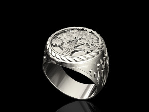 Tree ring for men 3Dプリントモデル
