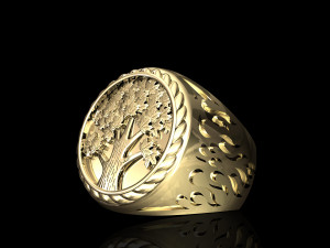 Tree ring for men 3D 프린트 모델