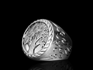 Tree ring for men 3D 프린트 모델